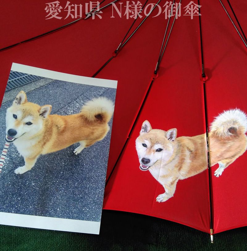 【福光美保】貴方のペットを傘に描きます。カスタムメイド手描きアート雨傘